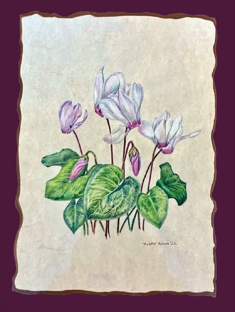 Minyatür Vildan Çomu.