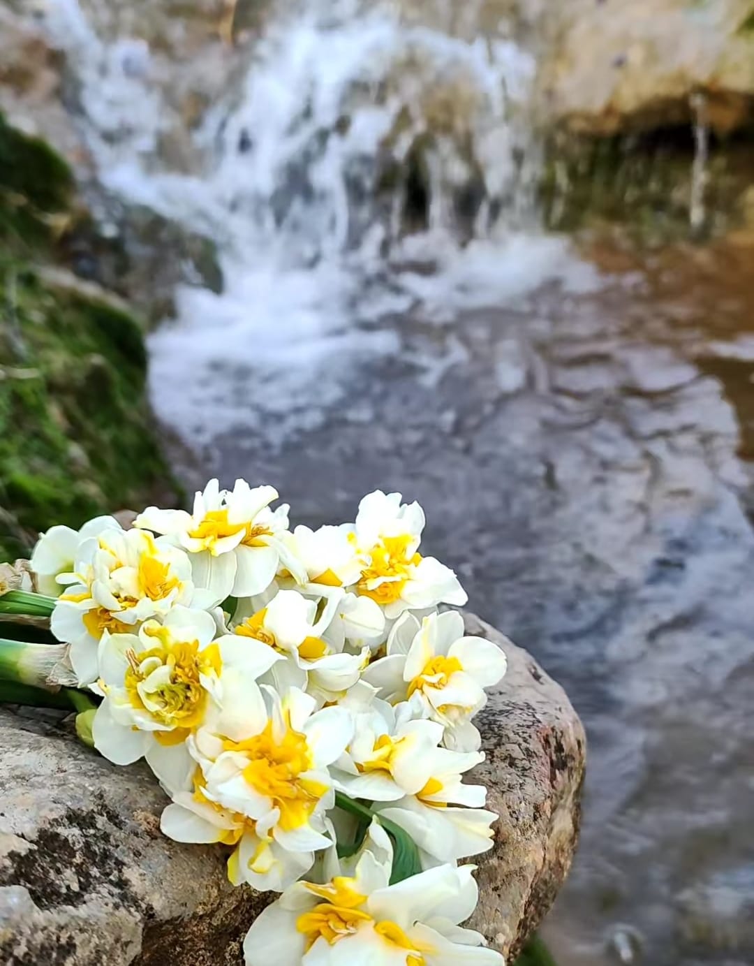 55140843 238F 43Ff A25B Ea68C727A424