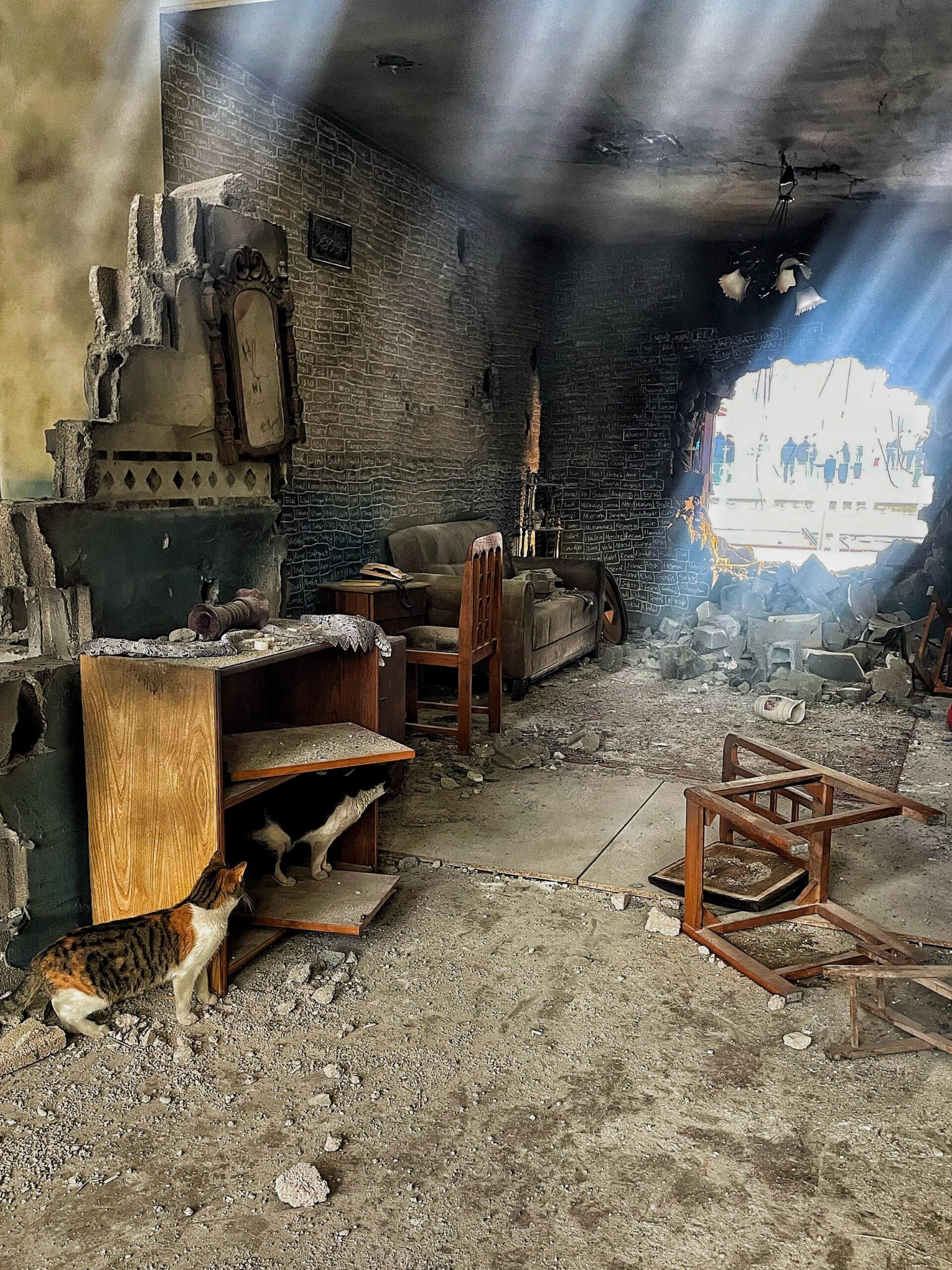 2304B3Bf 654F 4707 8649 44279E2B9Ef3