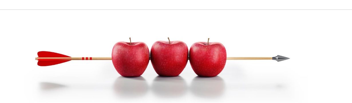 F İstanbul 2024 Fuarı 3