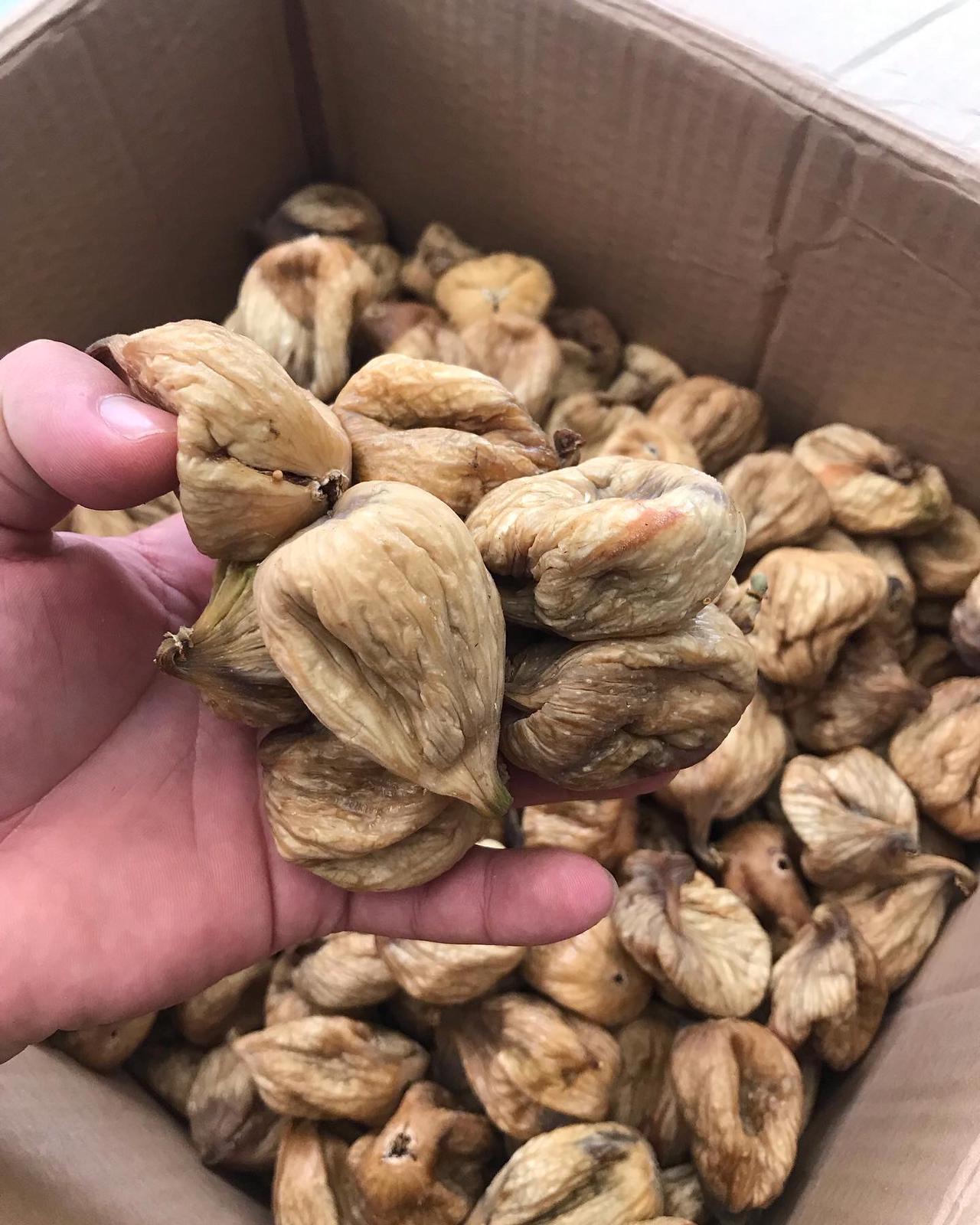 Nazilli Ege Yıldızı 1