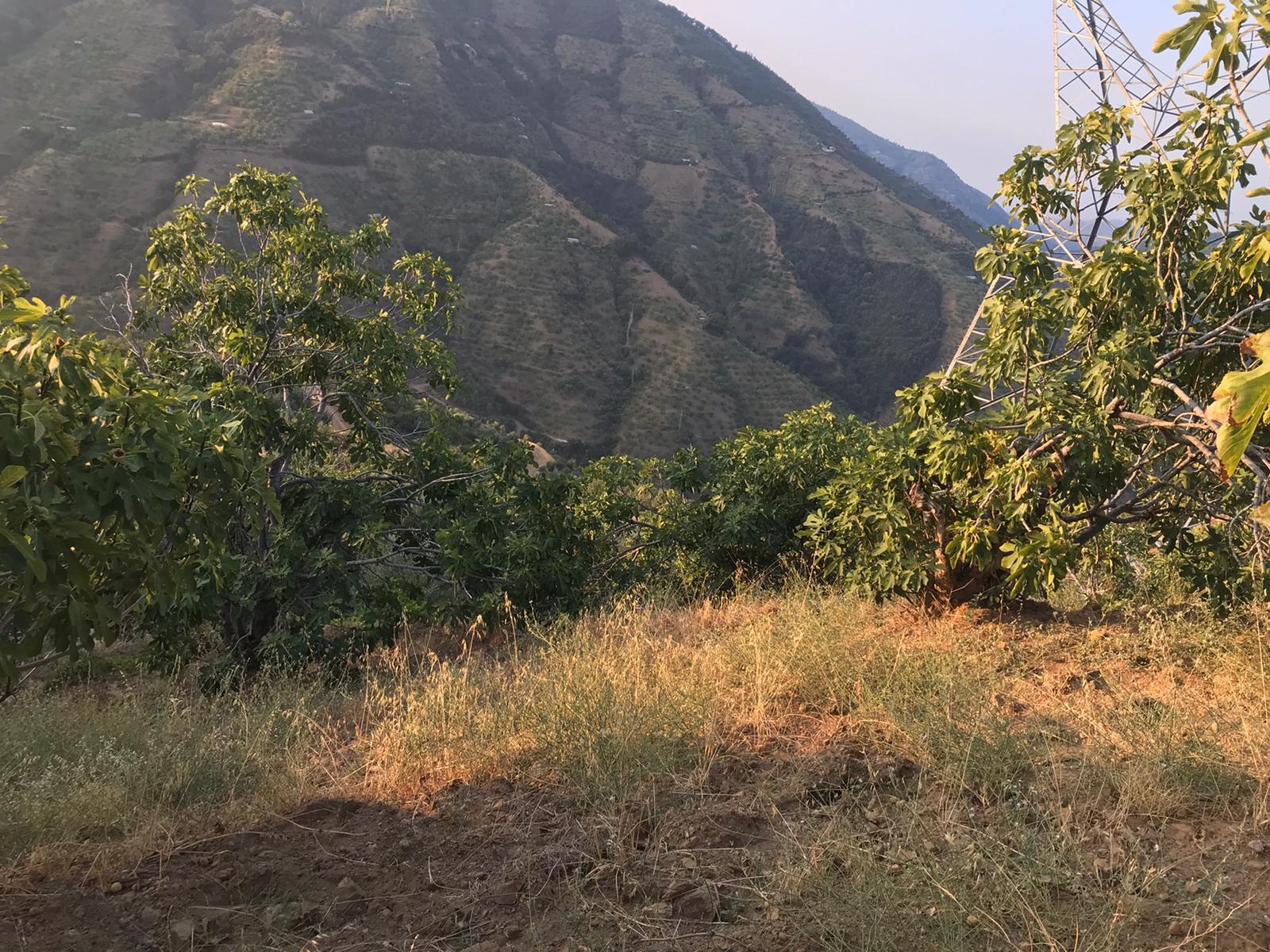 Nazilli Ege Yıldızı 9