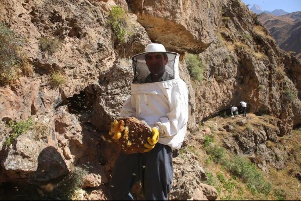 Bayındır Kuruyemiş 10