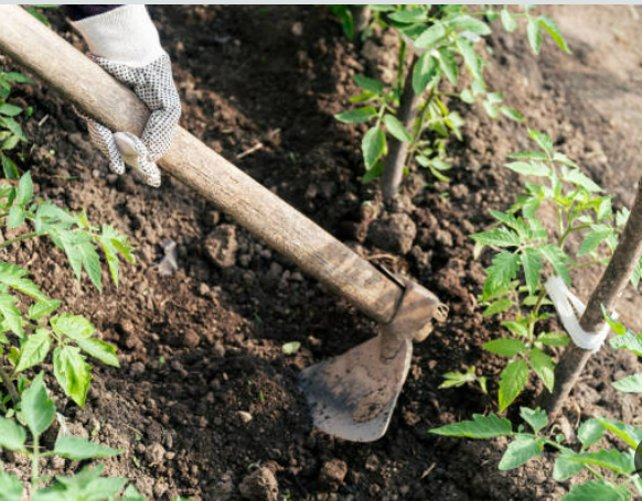 845 A A50 F 5 D95 4435 A532 B E21 D D A5 C617