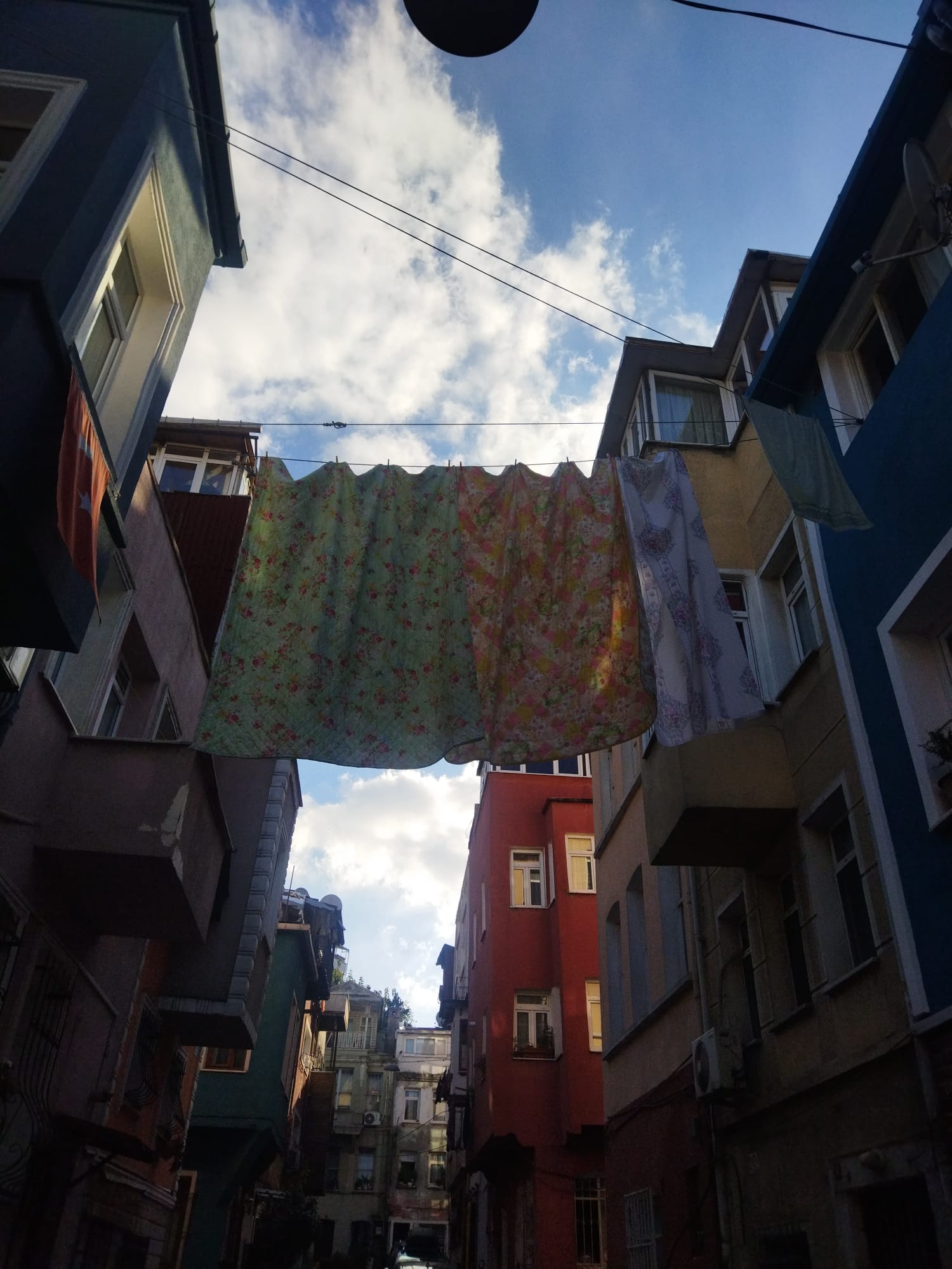 1D4280C1 033C 44C6 B2Ea 1210Fad208A7