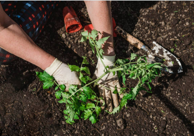 9 C92 F A1 D 2 A E D 4764 A434 7 D D B E C093 F C7