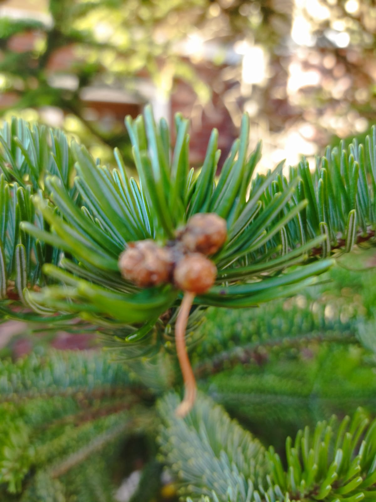 5219E761 082A 43C5 8F65 Ed7E324Ca778