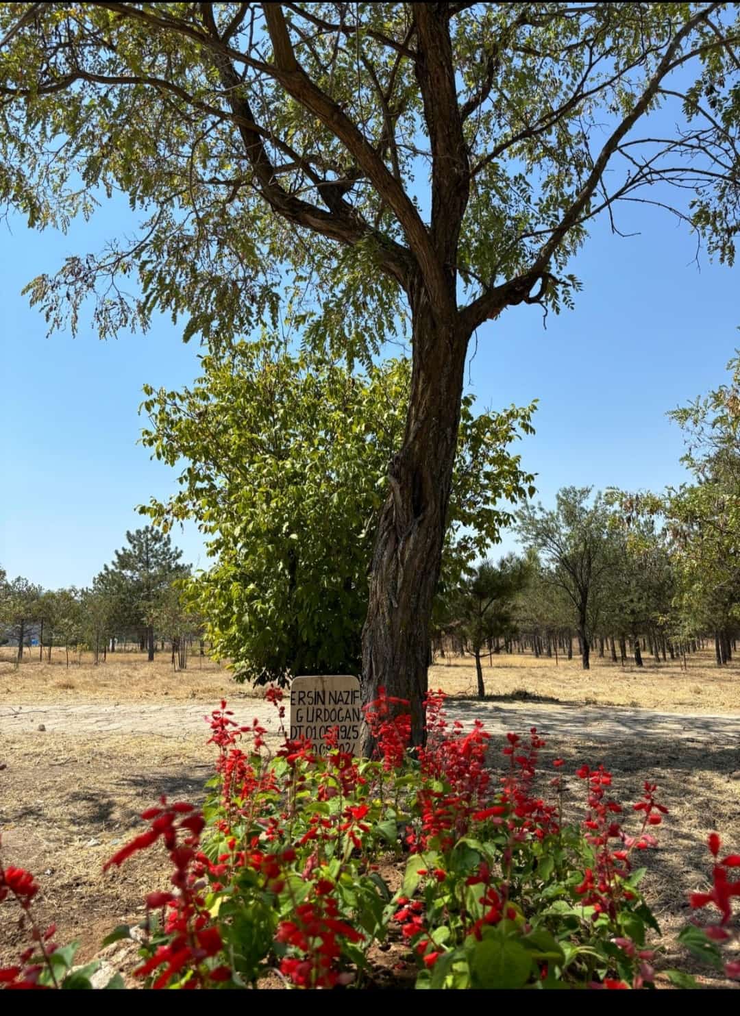 3B82Ec64 5Ce4 4Dd5 B12B Eb29901A620B