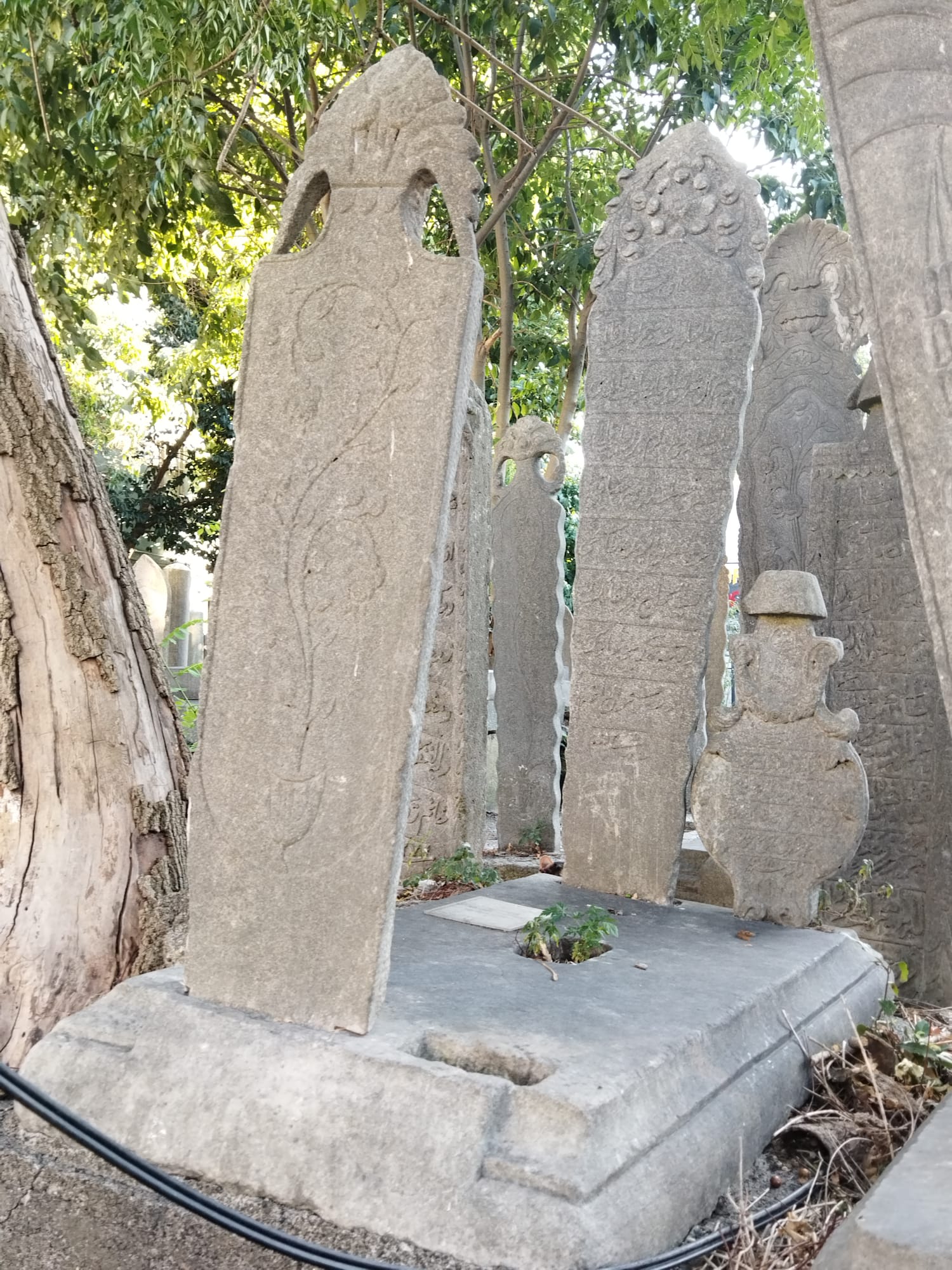 Fd5686Ce 1370 44B7 B30F 987Fe93615Be