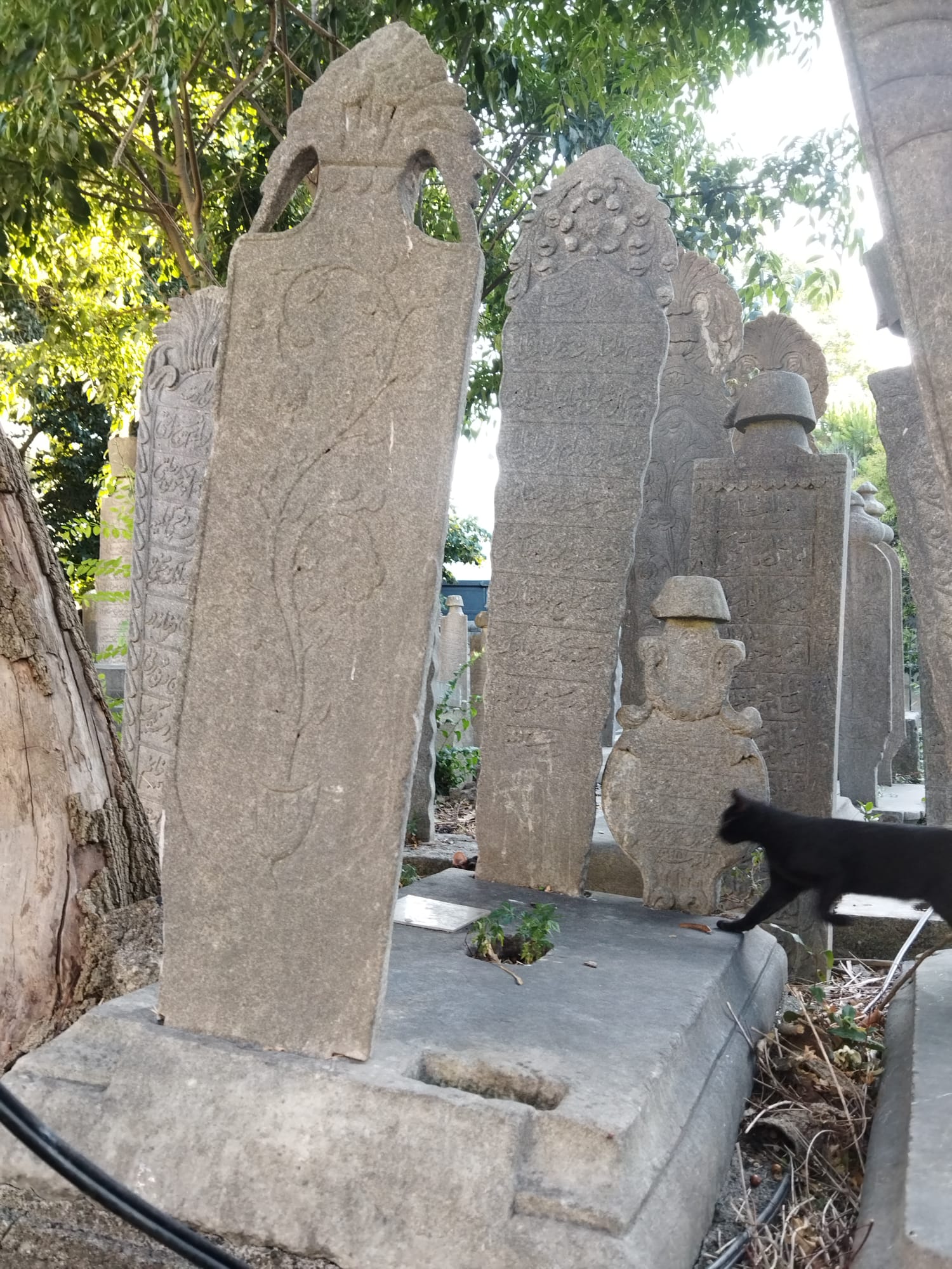 8Ee2E769 8D36 475F Acaf 884667Bd98F6