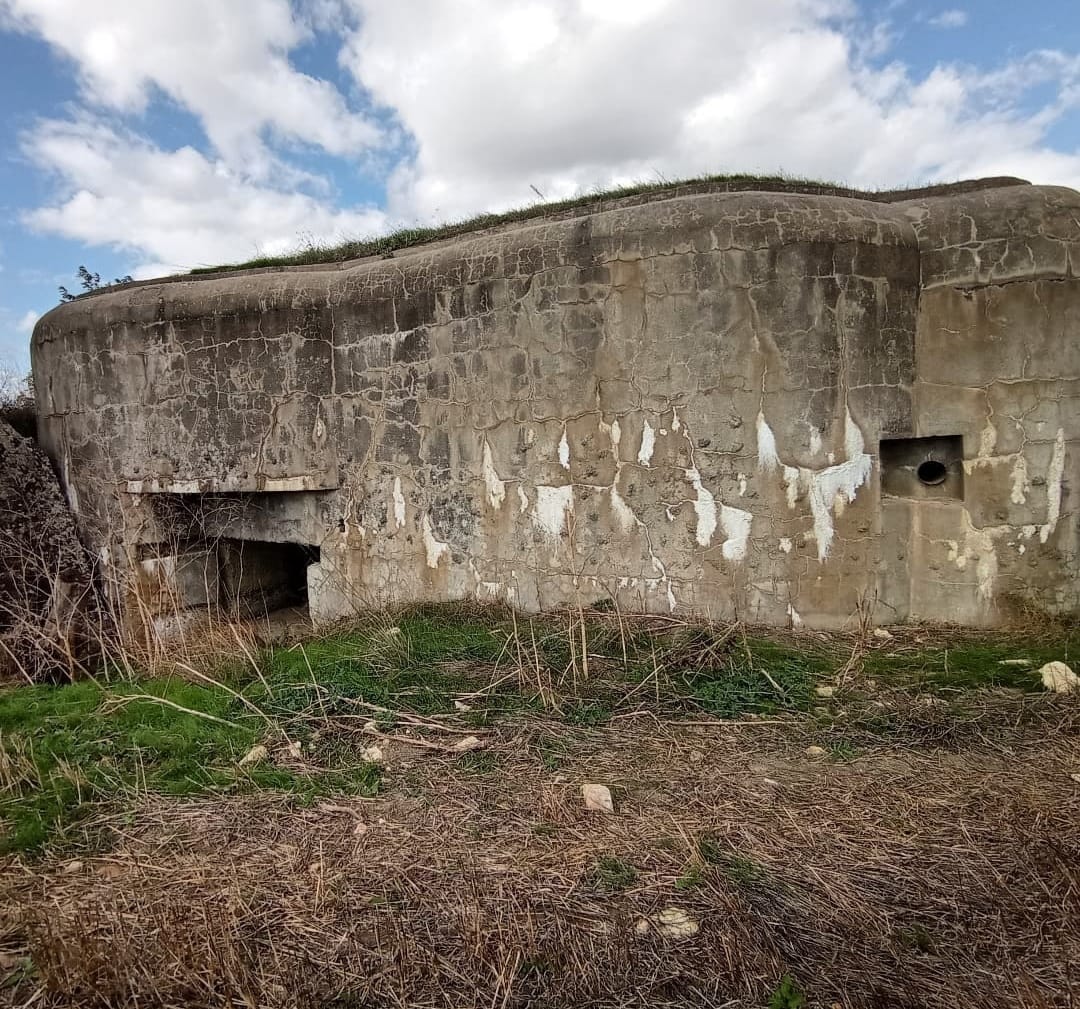 1Ce012B0 E026 4E9D 8Fd0 Be3C3Eff6C04