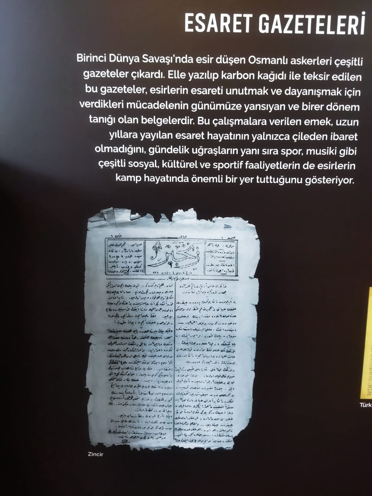 Ffc7A29A Ddd0 48Ff 91E3 7Ae646C00990