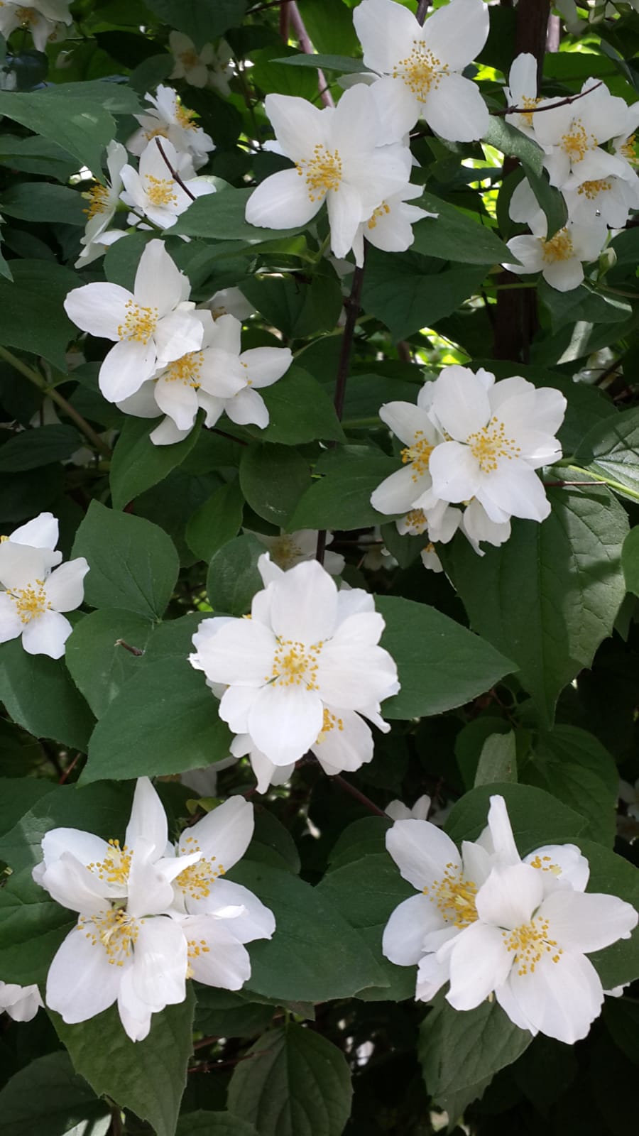 Whatsapp Görsel 2024 05 16 Saat 23.12.44 31A99077