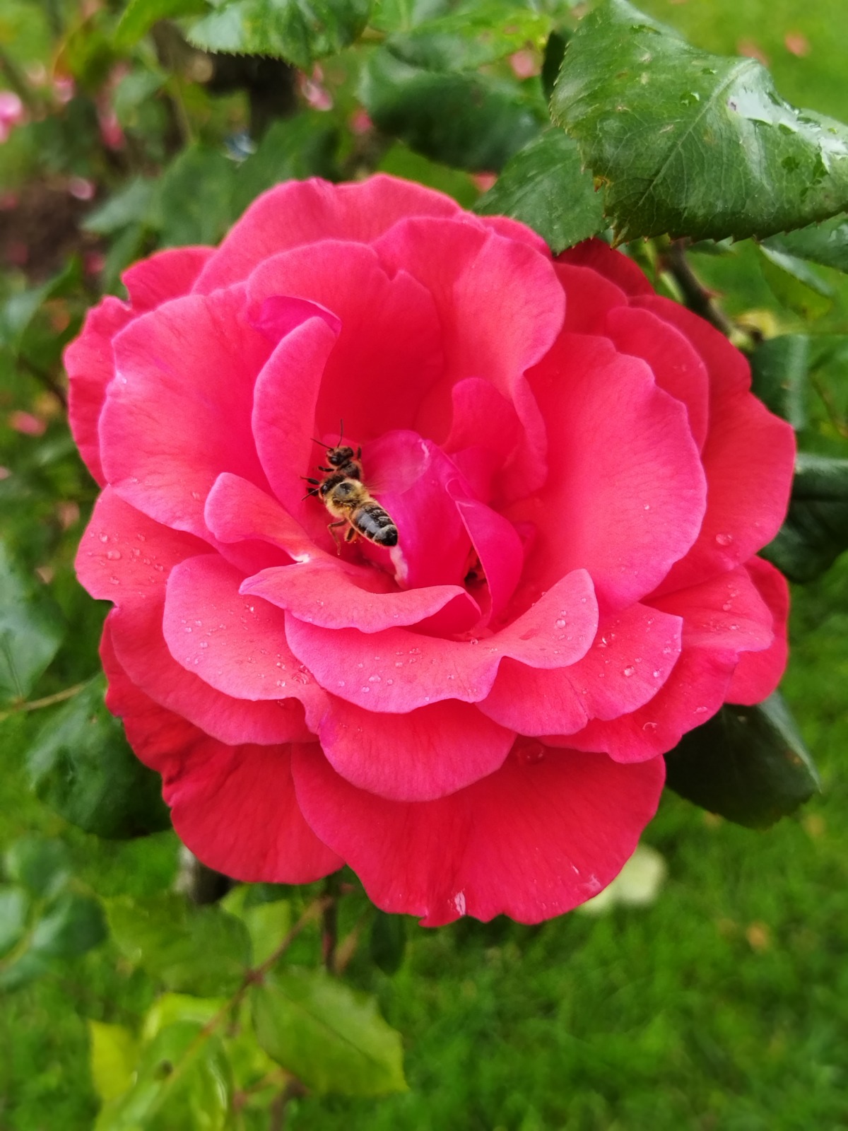 Whatsapp Görsel 2024 05 15 Saat 02.00.57 Cf791450