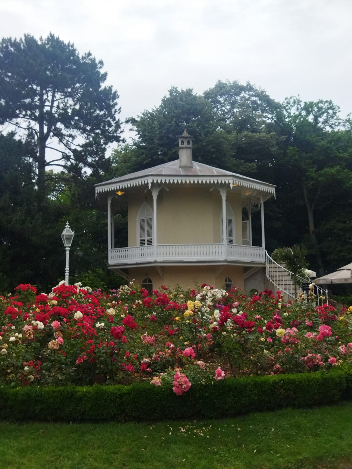 Whatsapp Görsel 2024 05 10 Saat 13.16.09 6066F8F6