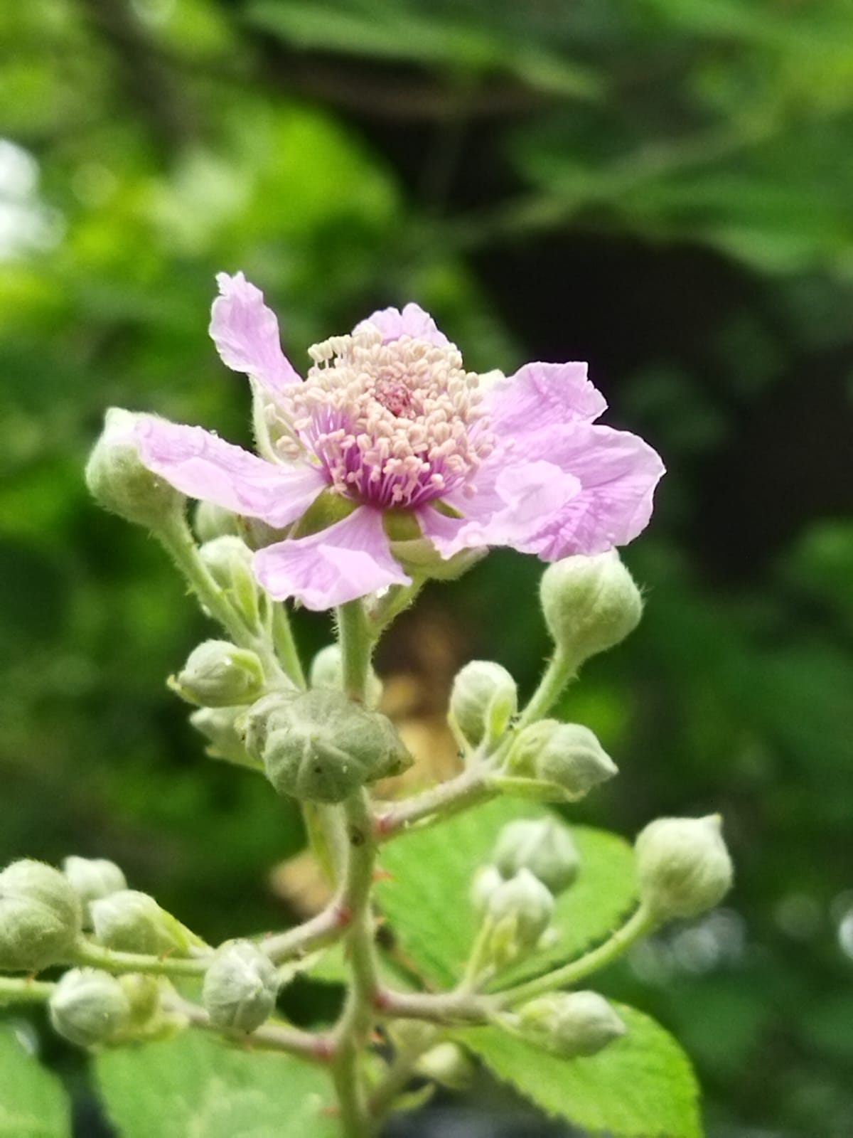 Whatsapp Görsel 2024 05 10 Saat 13.16.08 5Acabb56