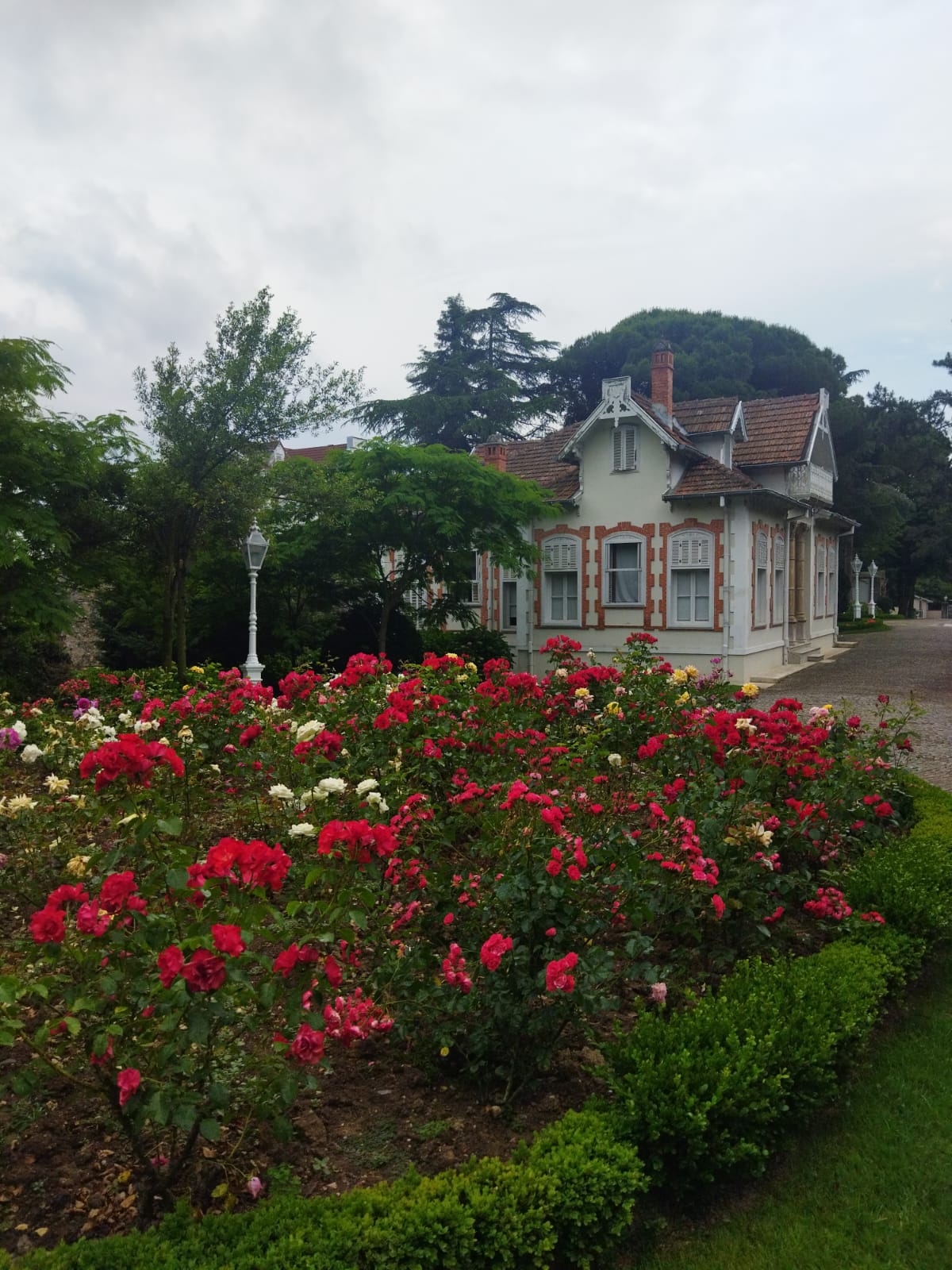 Whatsapp Görsel 2024 05 10 Saat 13.16.10 8E45Cd6F