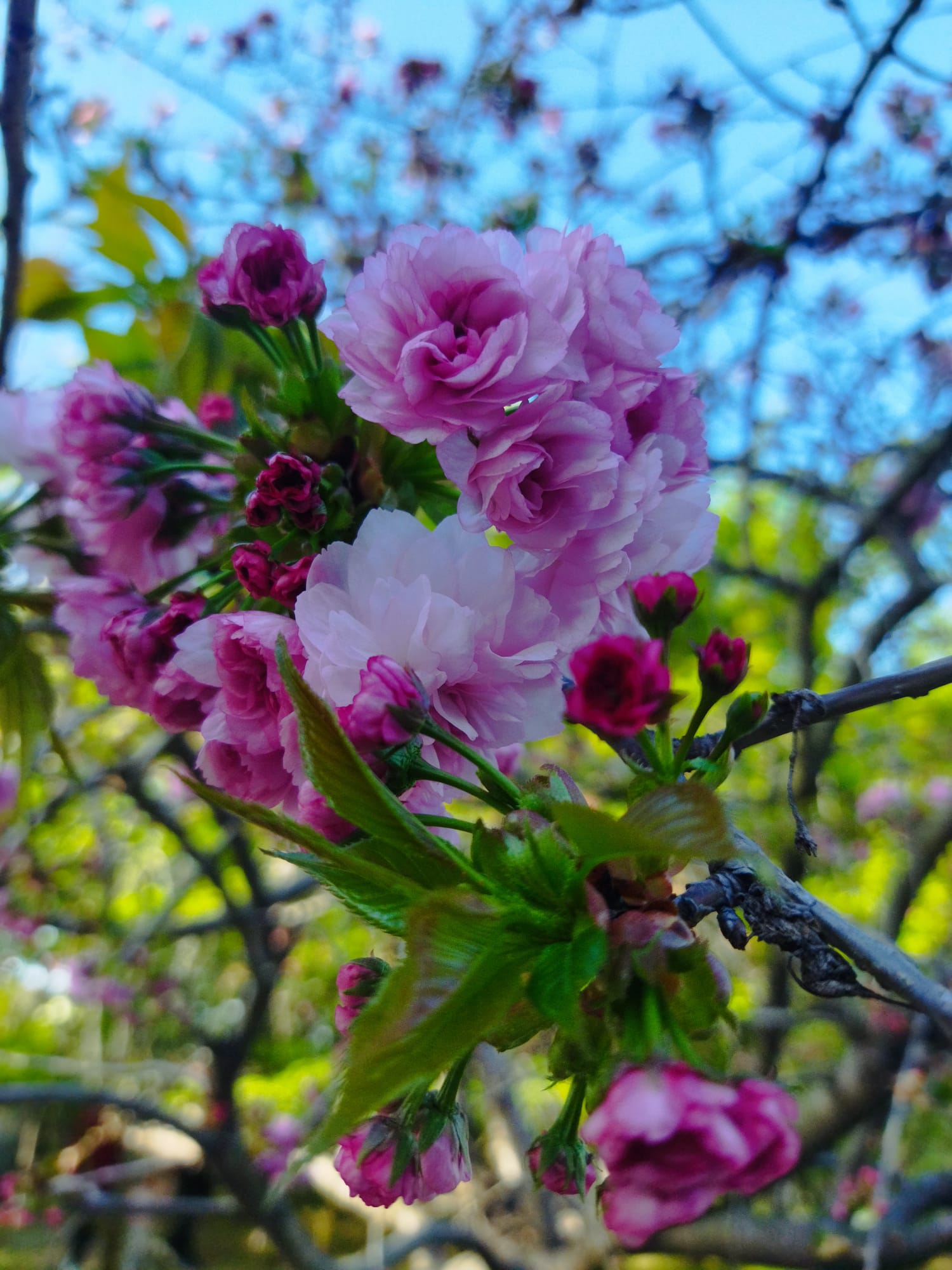 Whatsapp Görsel 2024 04 16 Saat 15.30.27 F18Cf8C7