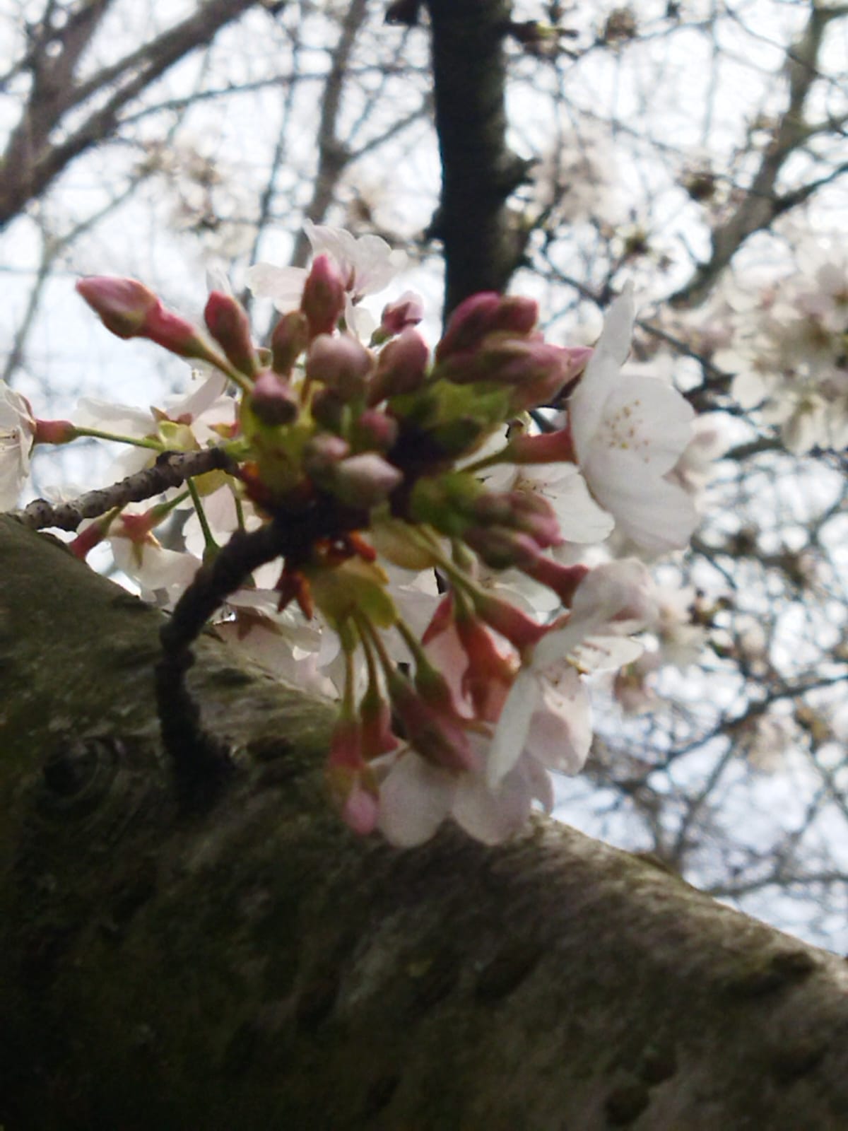 Whatsapp Görsel 2024 04 16 Saat 15.33.21 37344C32