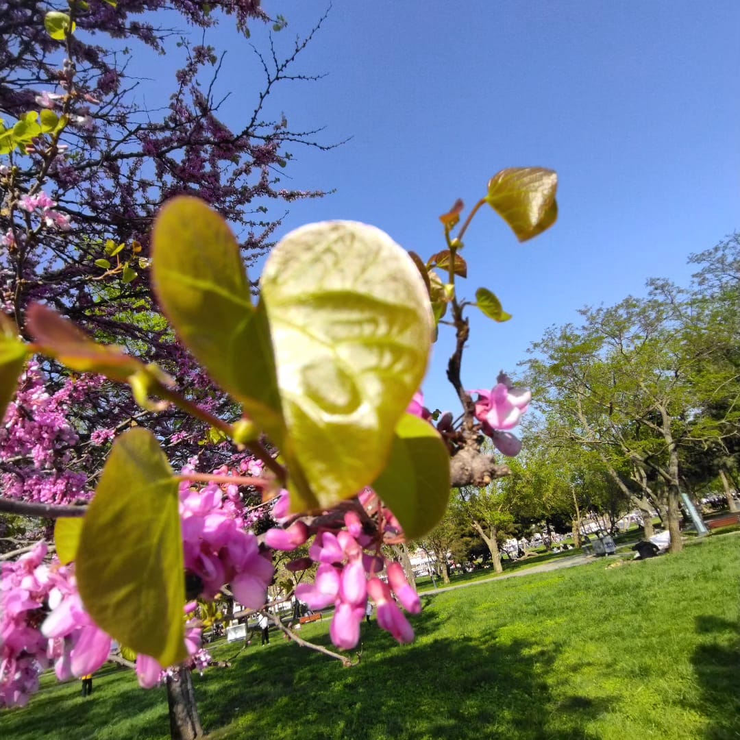 Whatsapp Görsel 2024 04 13 Saat 00.49.10 9Cbd8430