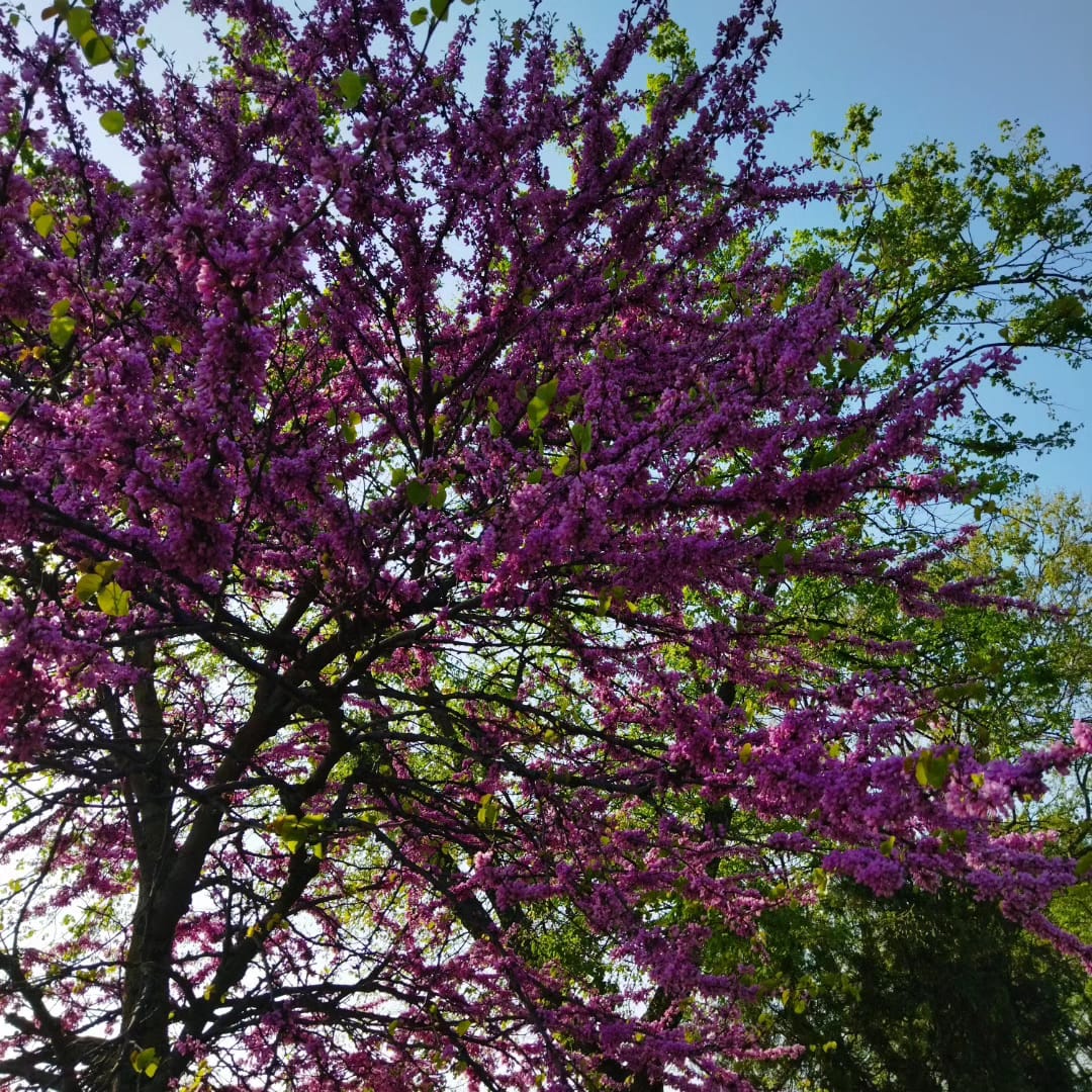 Whatsapp Görsel 2024 04 13 Saat 00.49.23 Aa98C317