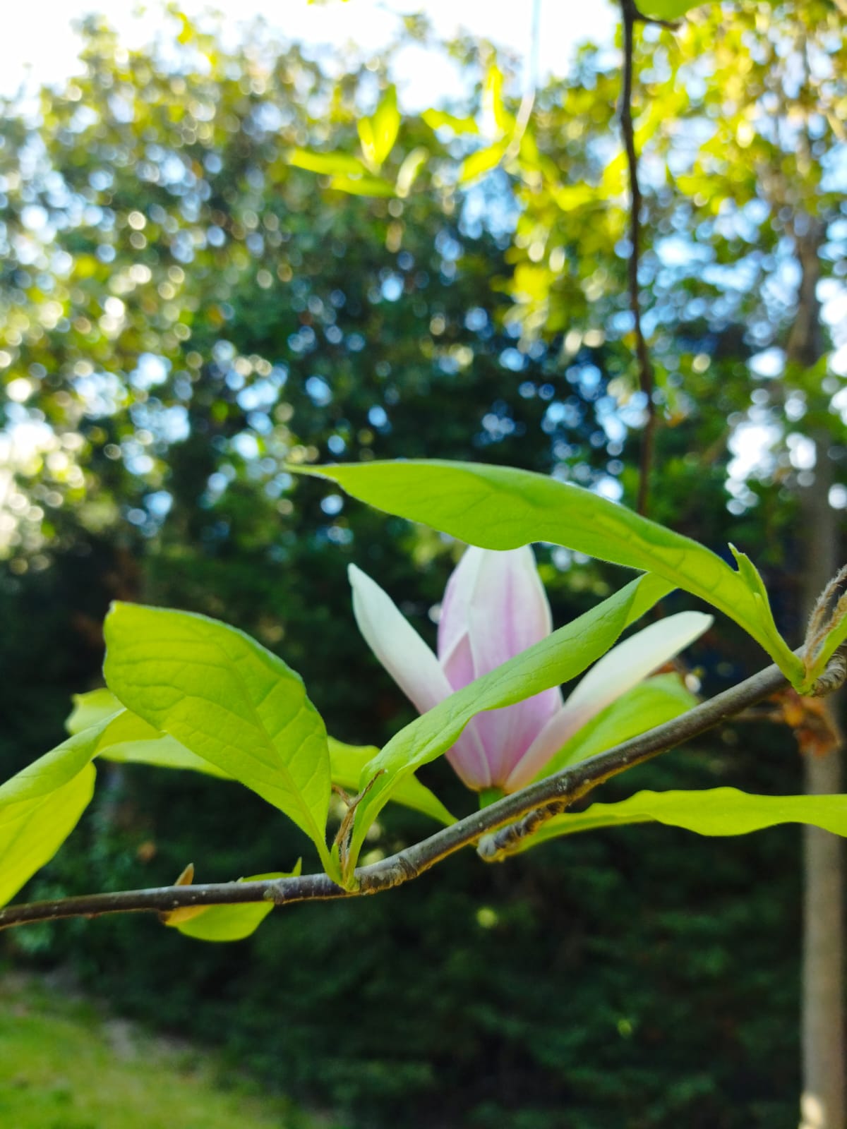 Whatsapp Görsel 2024 04 09 Saat 08.57.31 5382E89E