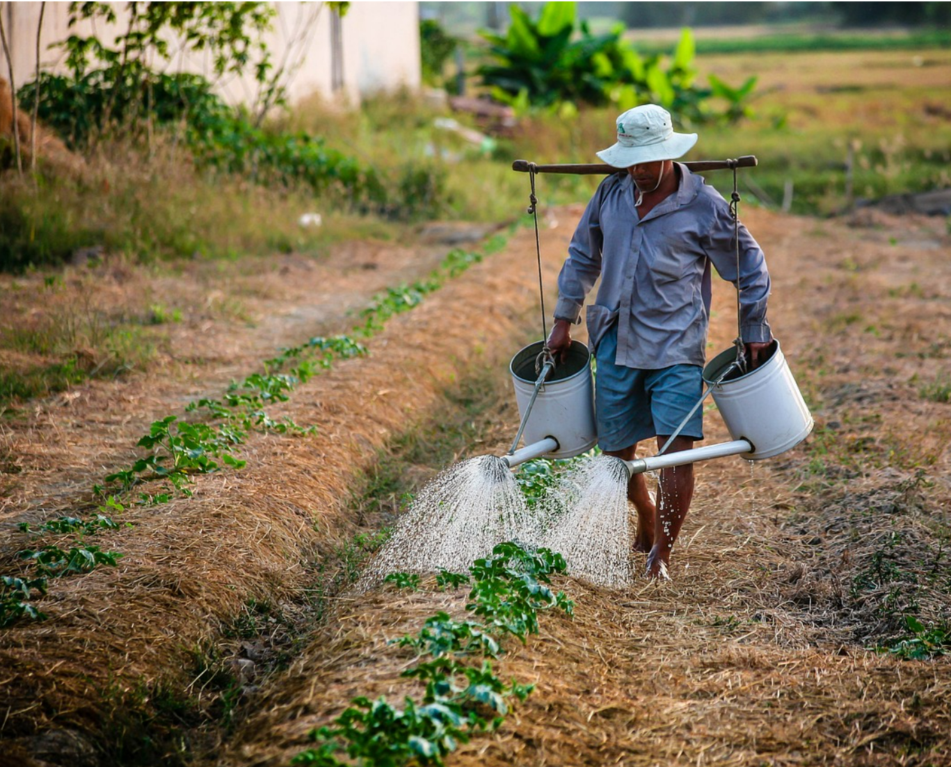 F C C C6 D D6 68 C4 4589 9 A D2 16 F322 F97161