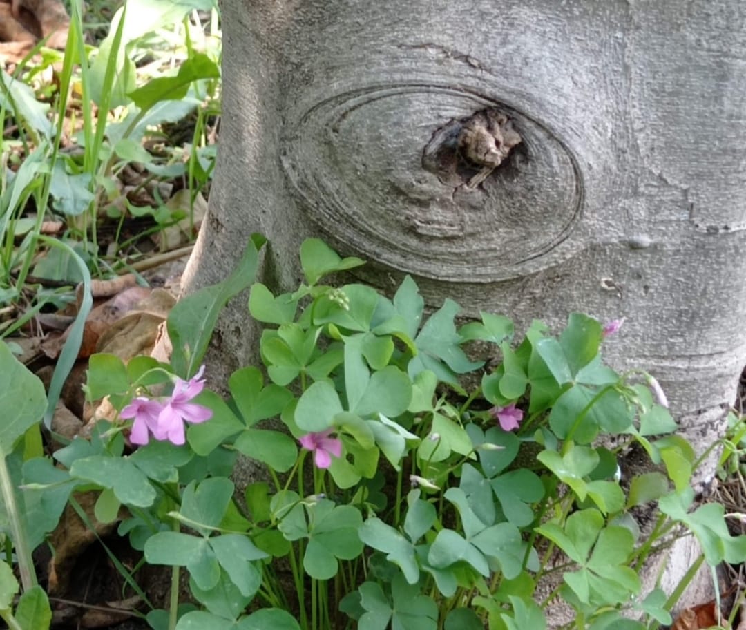 Whatsapp Görsel 2024 02 27 Saat 16.10.18 Fa6697E4