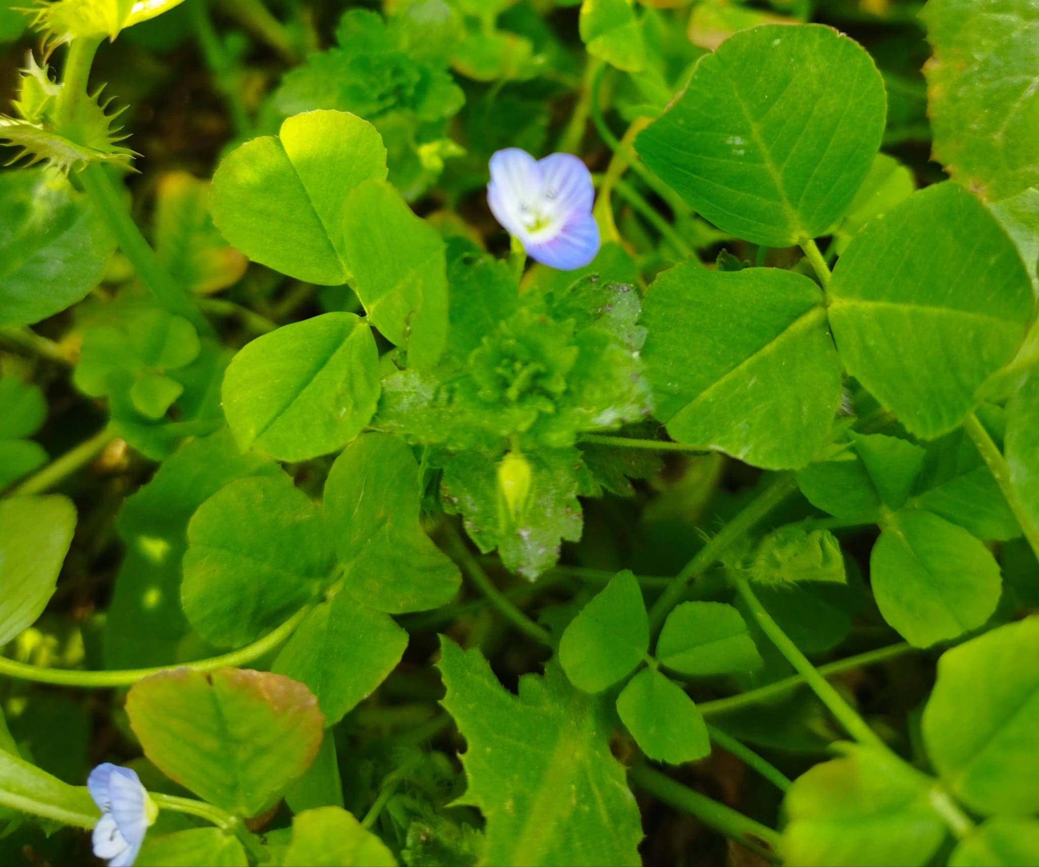 Whatsapp Görsel 2024 02 27 Saat 16.07.35 295Bfc65