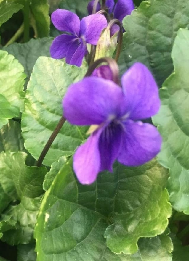 Whatsapp Görsel 2024 02 09 Saat 11.50.23 Eee6Fa1B