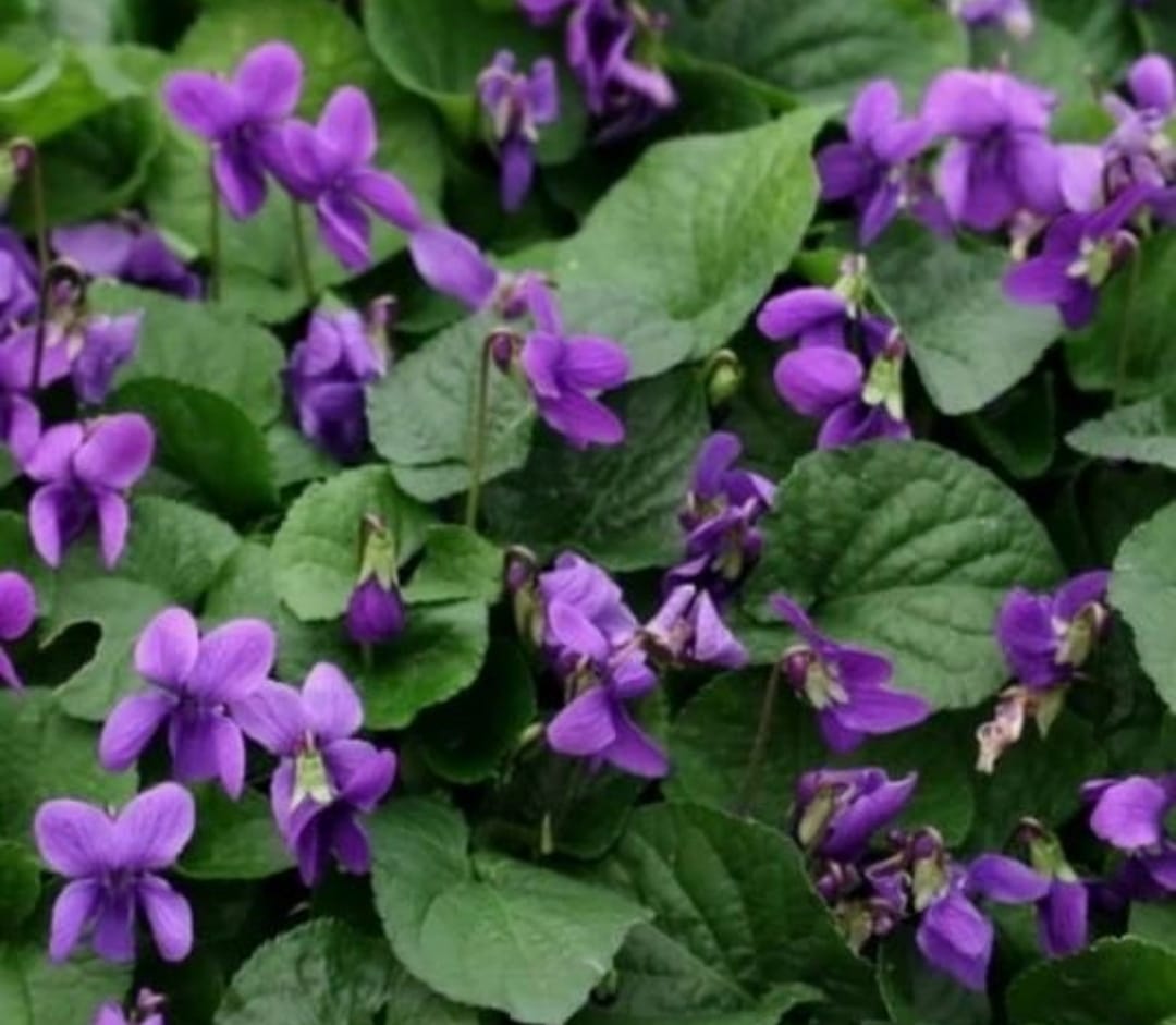 Whatsapp Görsel 2024 02 09 Saat 11.49.47 1B1C9545