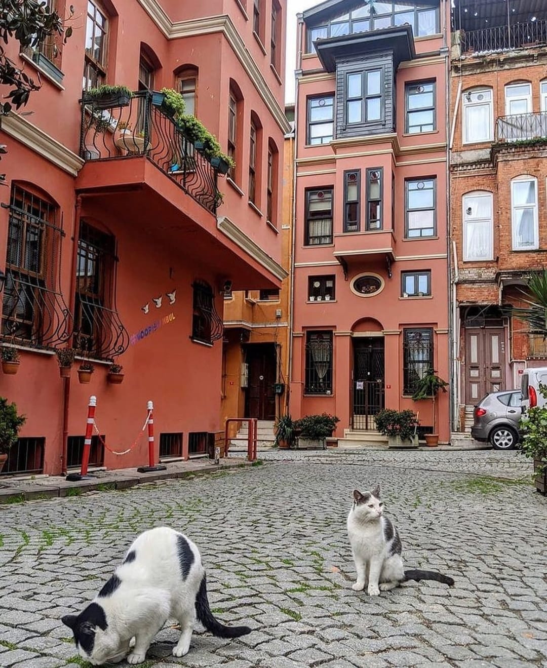 Whatsapp Görsel 2024 01 16 Saat 02.13.43 8A7Ad923