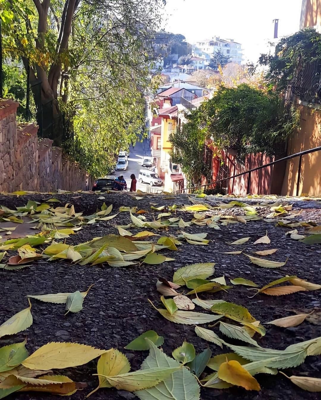 Whatsapp Görsel 2024 01 16 Saat 02.13.43 407Ff949