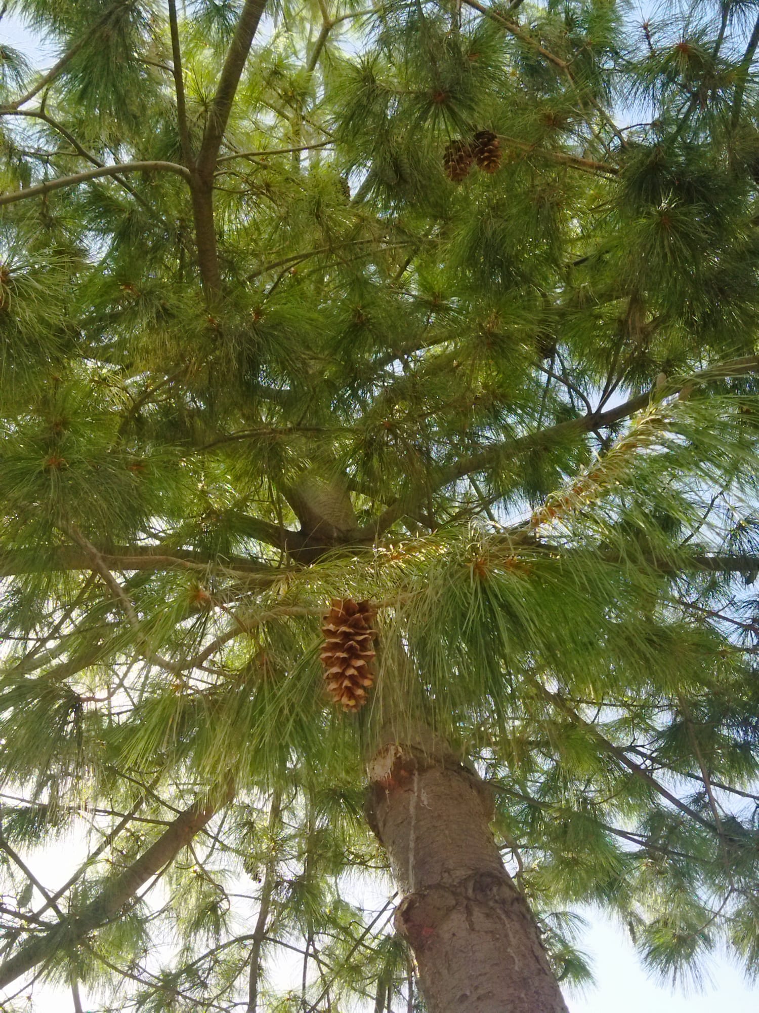 WhatsApp Image 2023-09-29 at 09.33.50 (2)