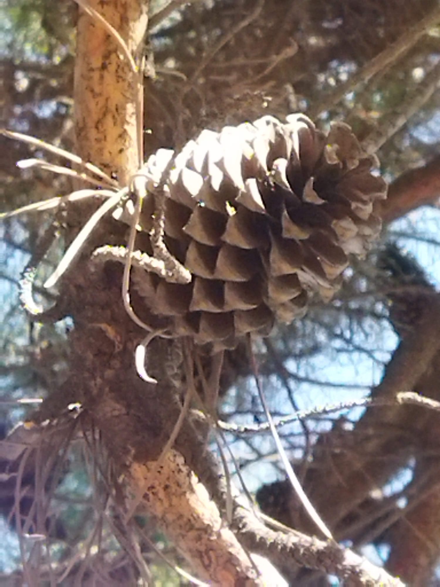 WhatsApp Image 2023-09-29 at 09.33.49 (2)