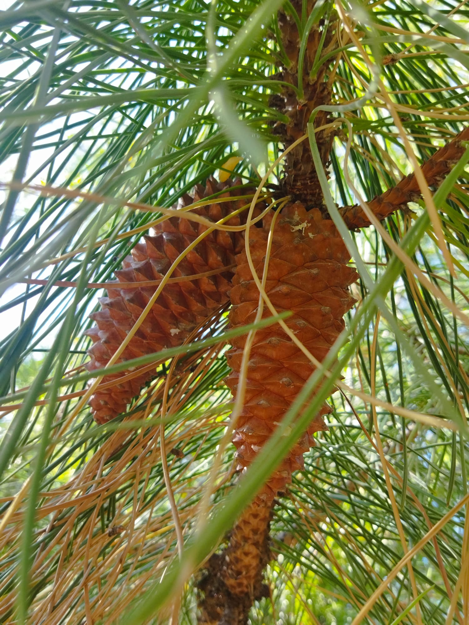 WhatsApp Image 2023-09-29 at 09.33.50