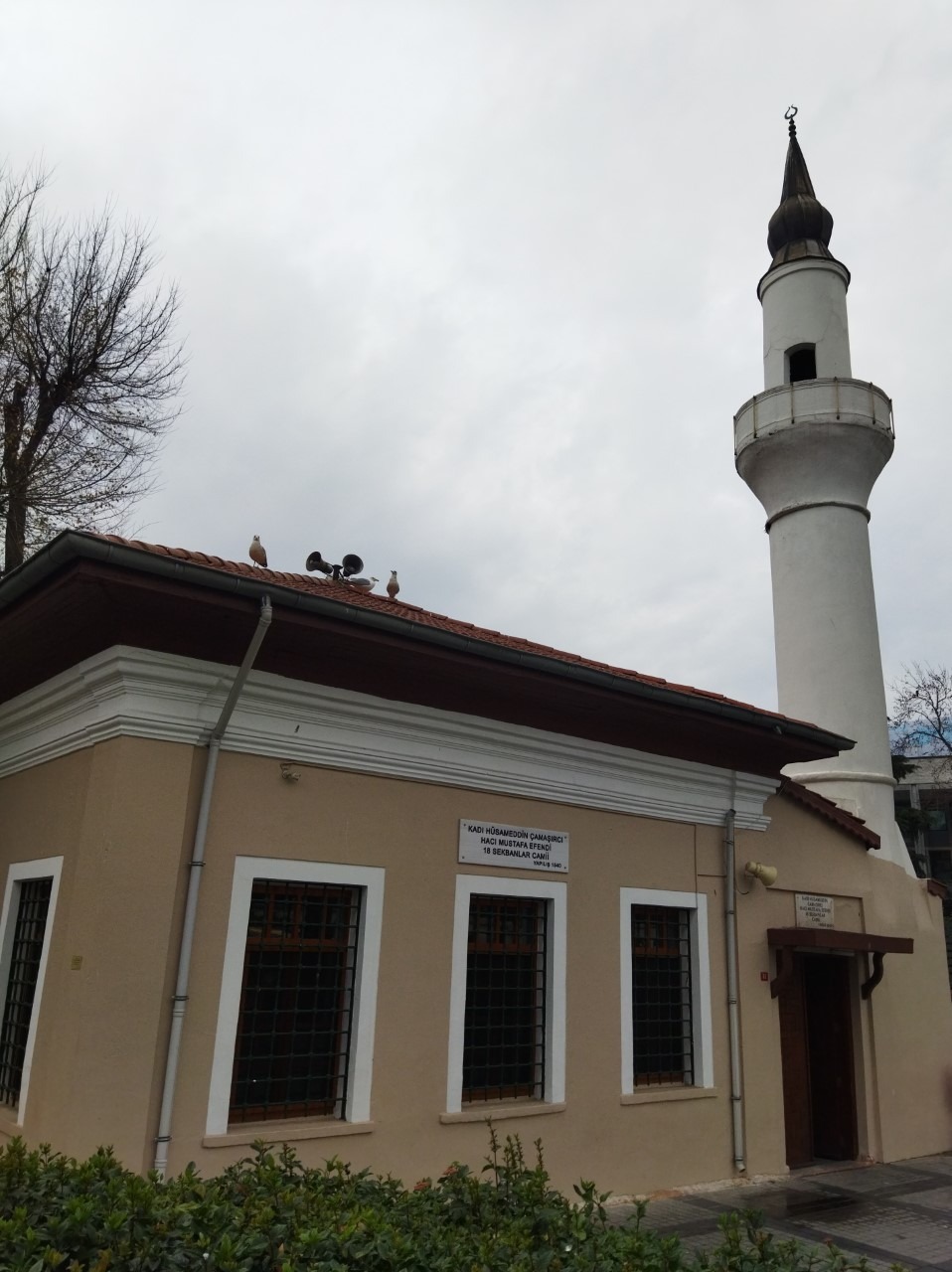 WhatsApp Image 2023-09-26 at 14.14.22 (1)