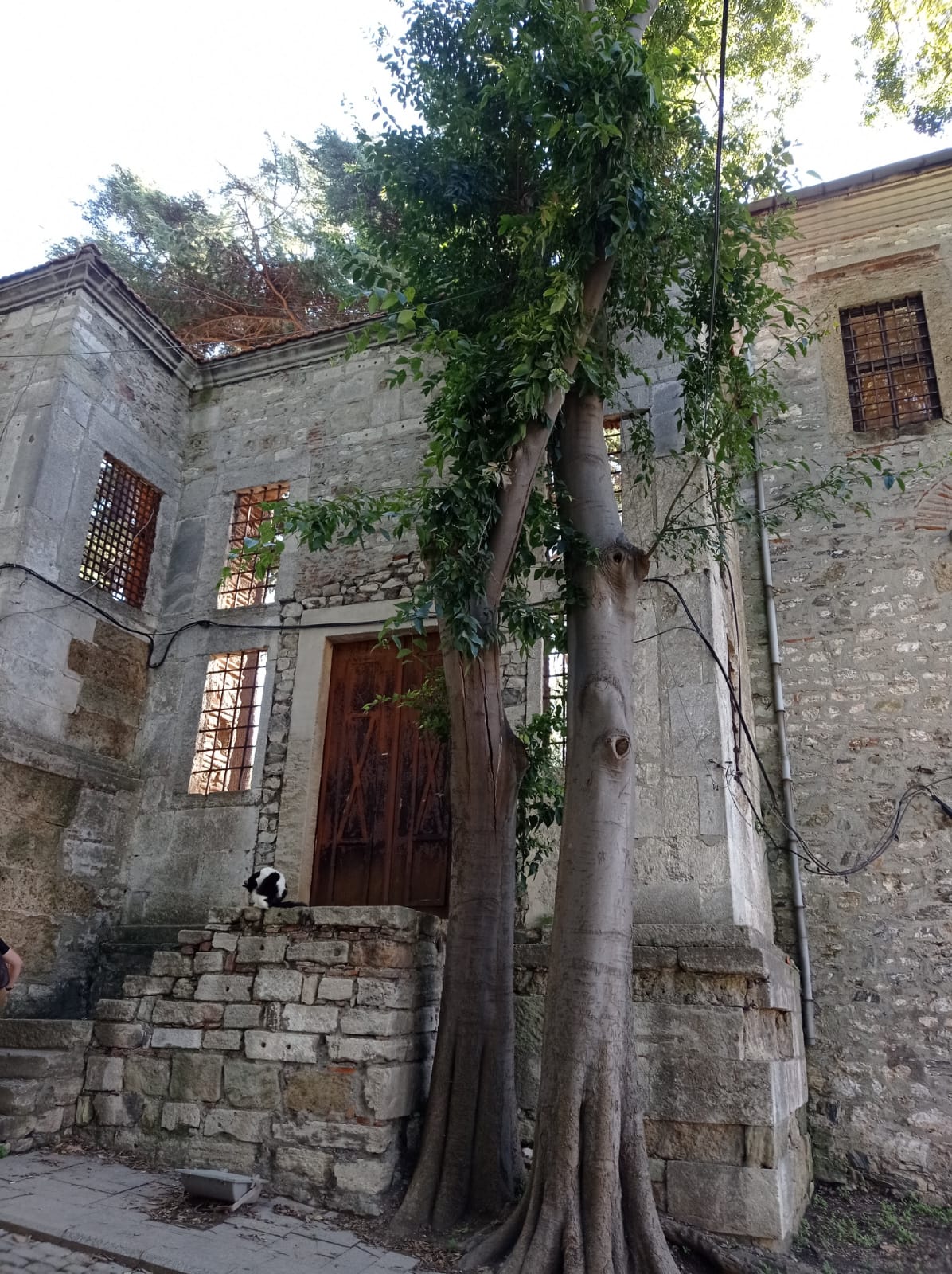 WhatsApp Image 2023-09-19 at 11.42.00