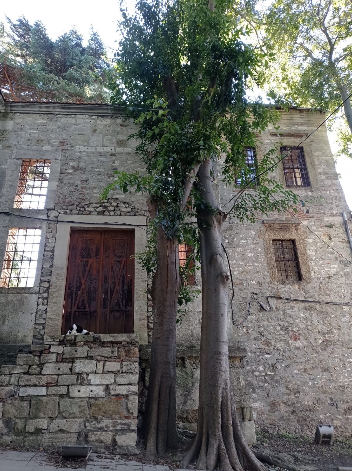 WhatsApp Image 2023-09-19 at 11.42.42