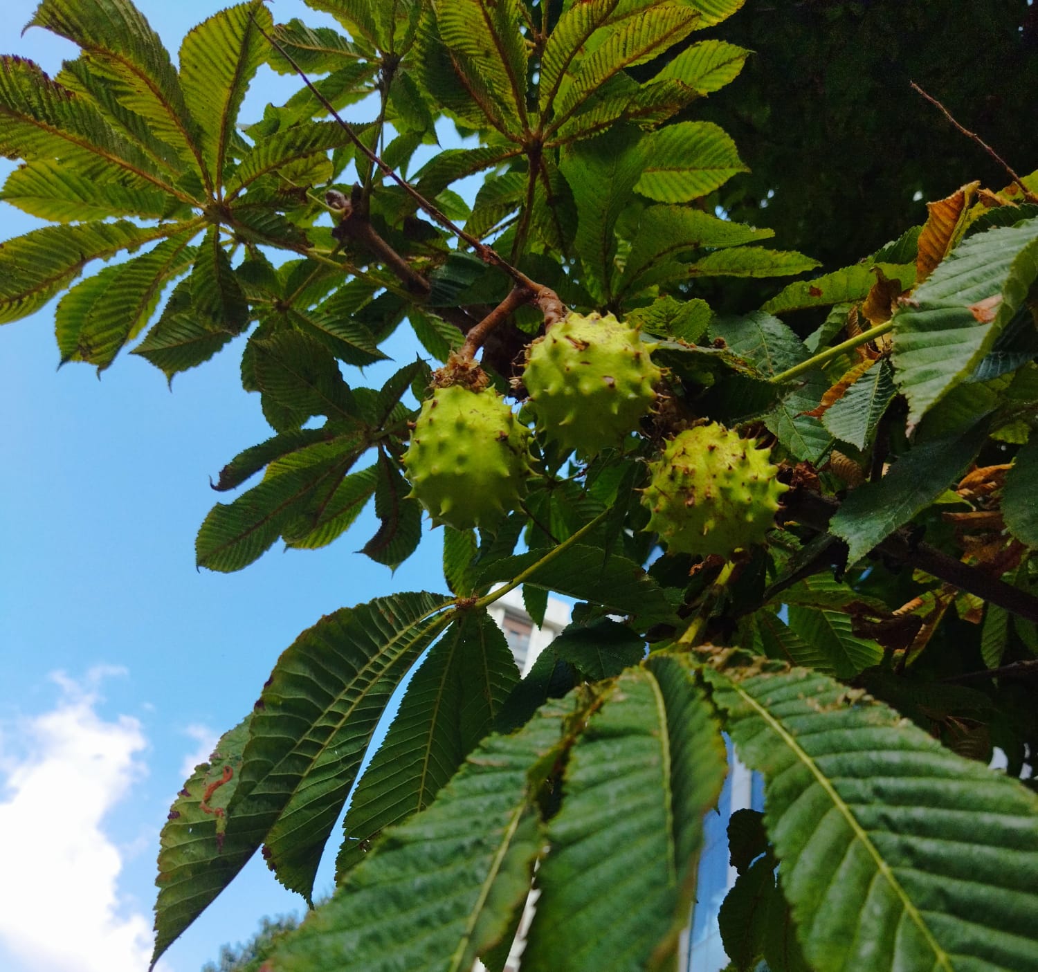 WhatsApp Image 2023-09-08 at 07.55.55