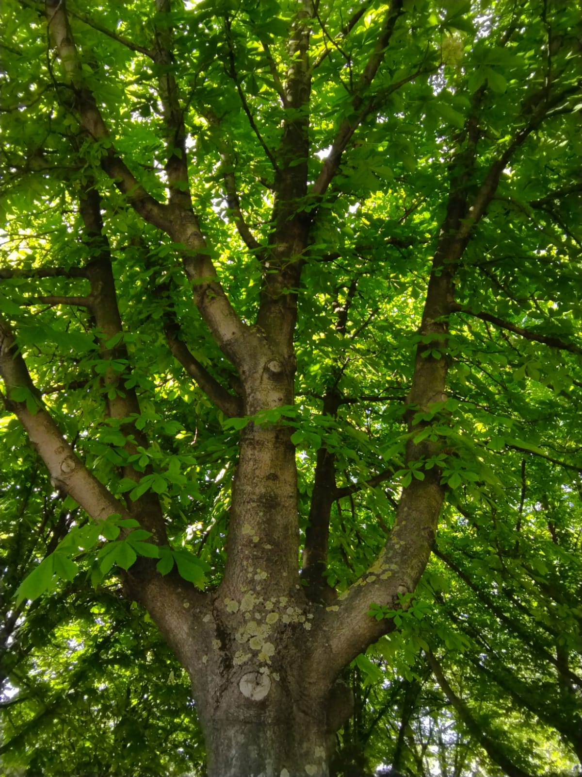 WhatsApp Image 2023-09-08 at 07.55.58