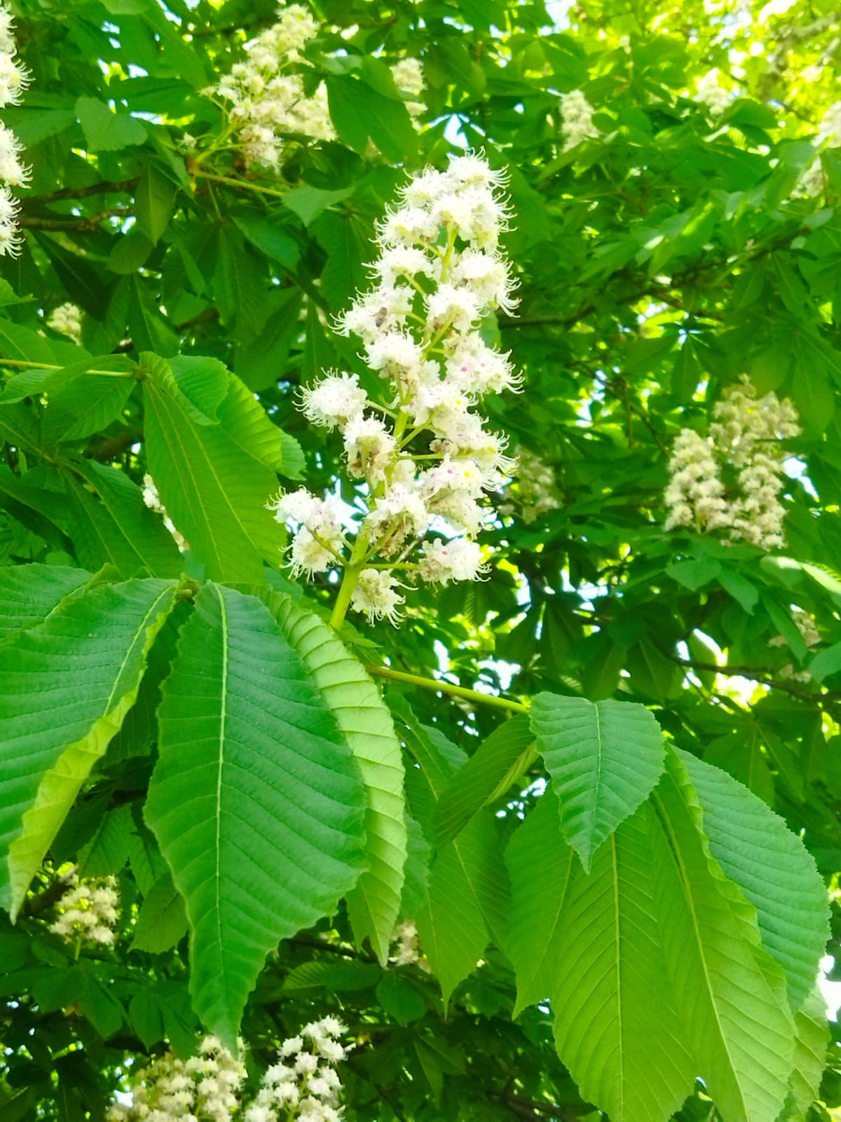 WhatsApp Image 2023-09-08 at 07.55.57