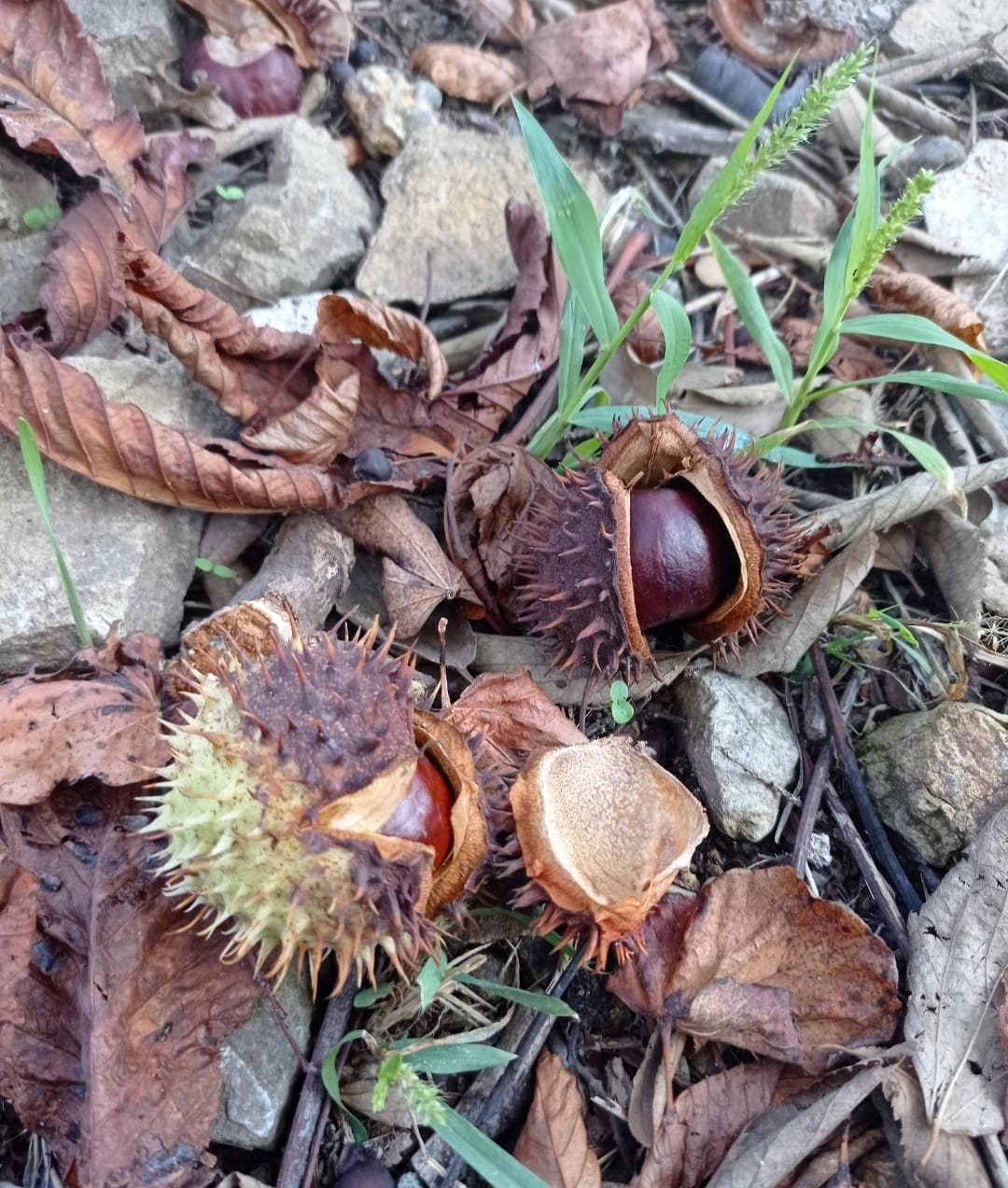 WhatsApp Image 2023-09-08 at 07.55.54