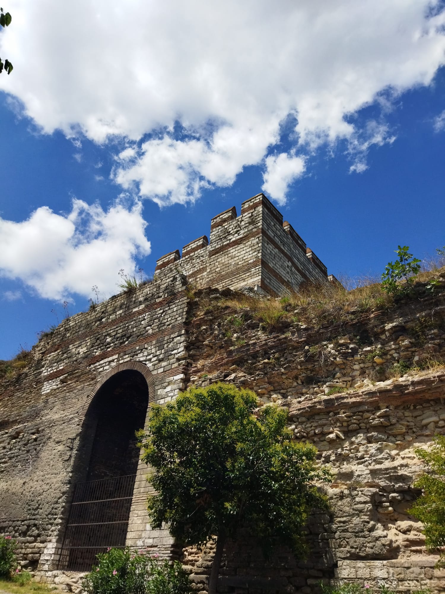 WhatsApp Image 2023-09-05 at 09.25.26