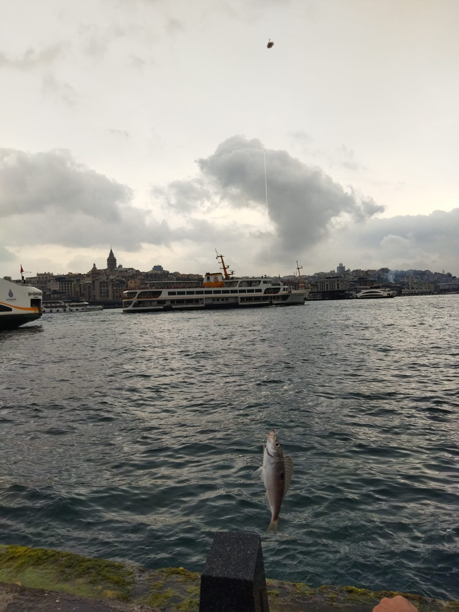 WhatsApp Image 2023-09-01 at 10.10.41