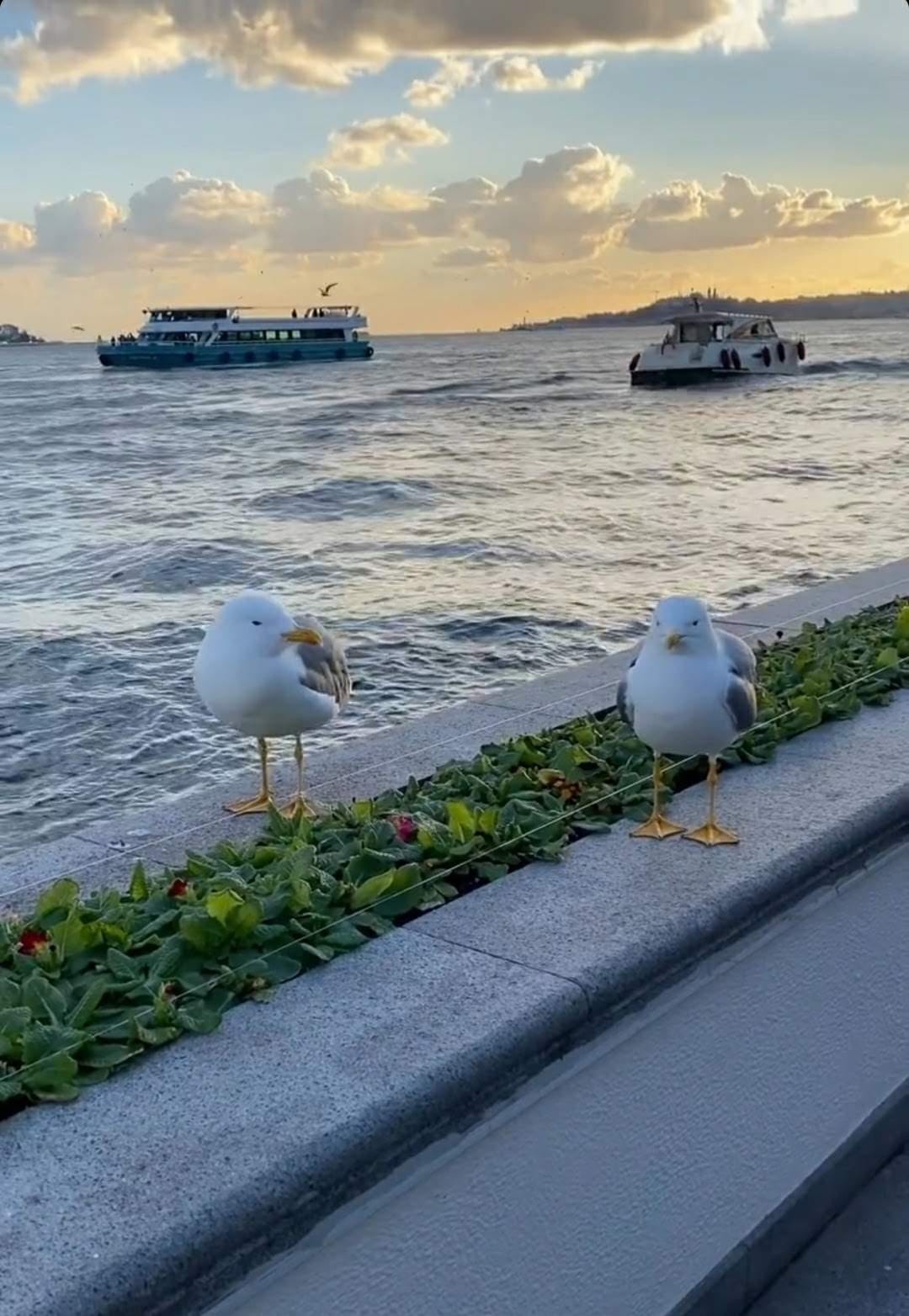 WhatsApp Image 2023-09-01 at 10.18.21