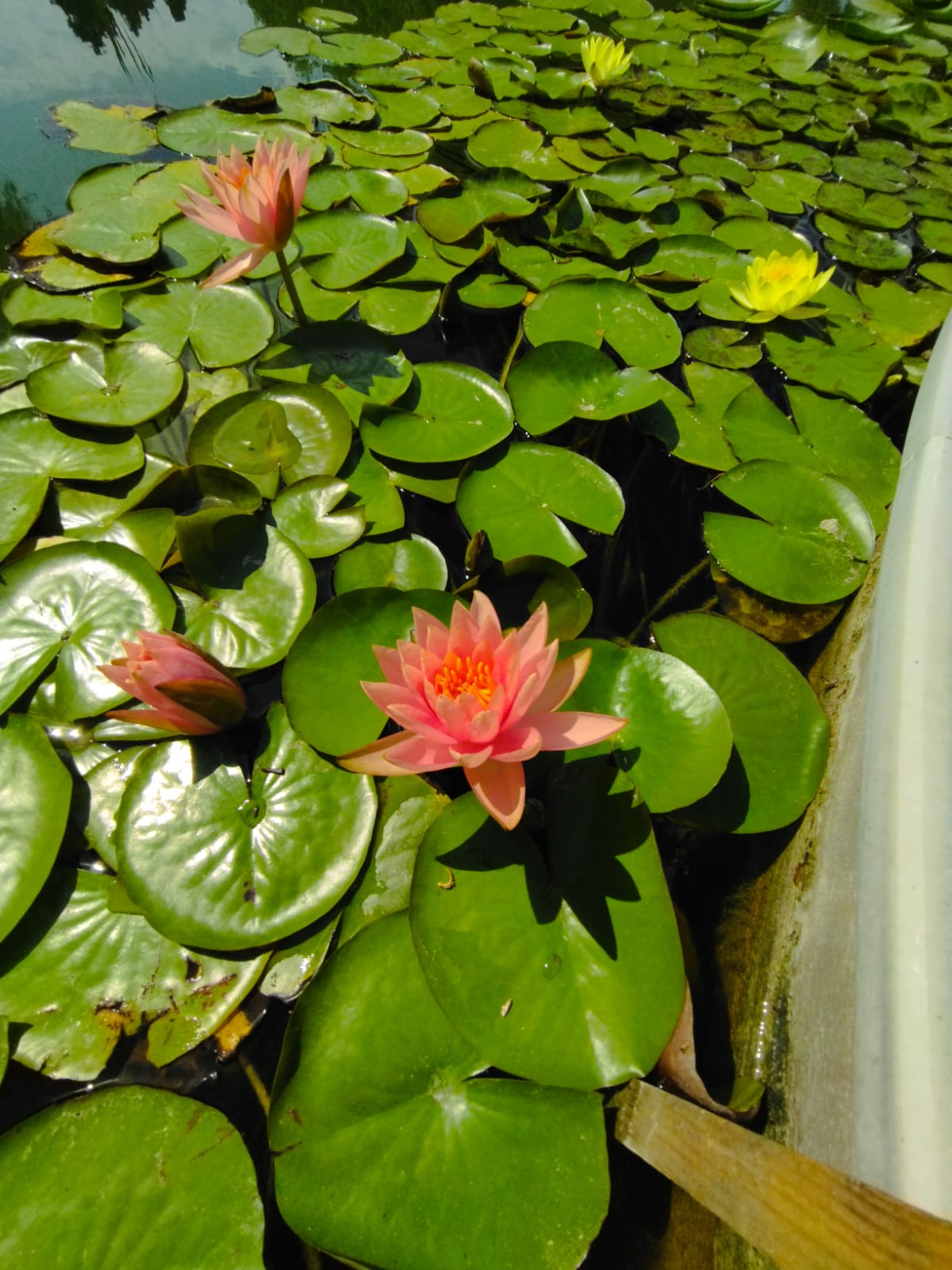 WhatsApp Image 2023-08-15 at 13.54.20 (1)