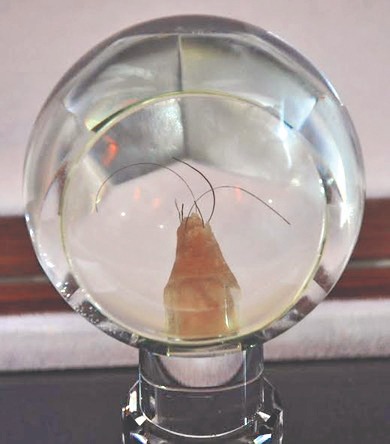 Whatsapp Görsel 2024 03 14 Saat 13.09.45 46C67Bc0