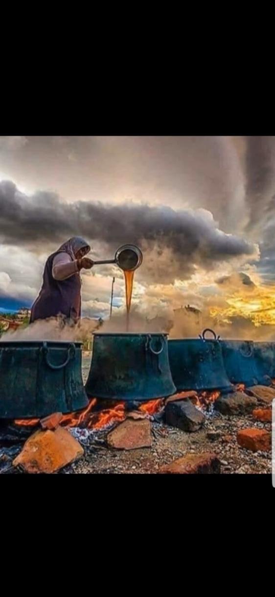 23Dd5E7E D84A 40F6 Ad47 3F4Ef75A8F41