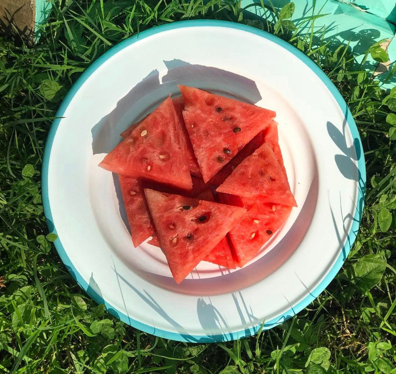 WhatsApp Image 2023-08-03 at 13.39.01